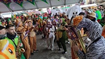 Vendaval, lluvia y frío en el primer desfile de Carnaval