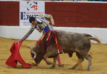 Molina y Cristian Pérez logran clasificarse en la Copa Chenel